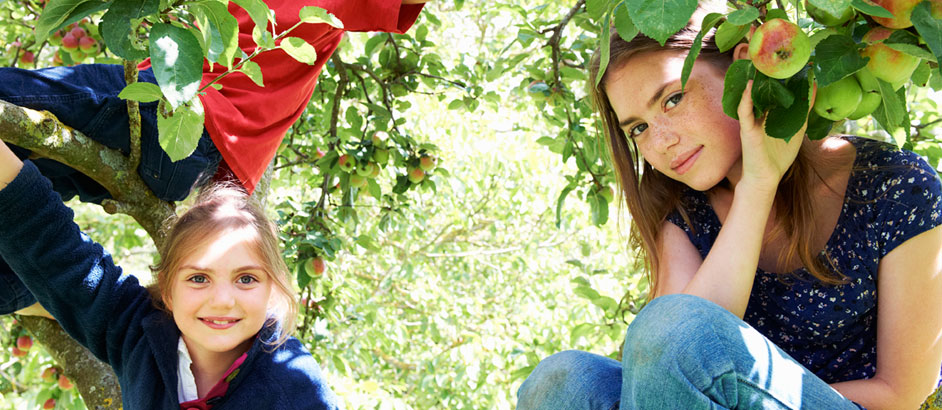 Zwei Mädchen sitzen in einem Apfelbaum.