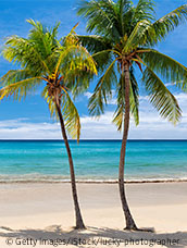 Karibischer Strand mit Palmen