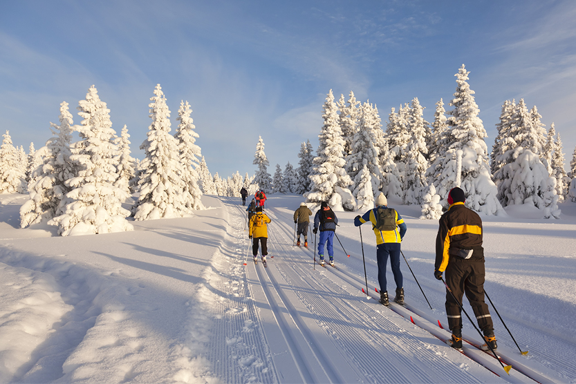 Langläufer in Winterlandschaft